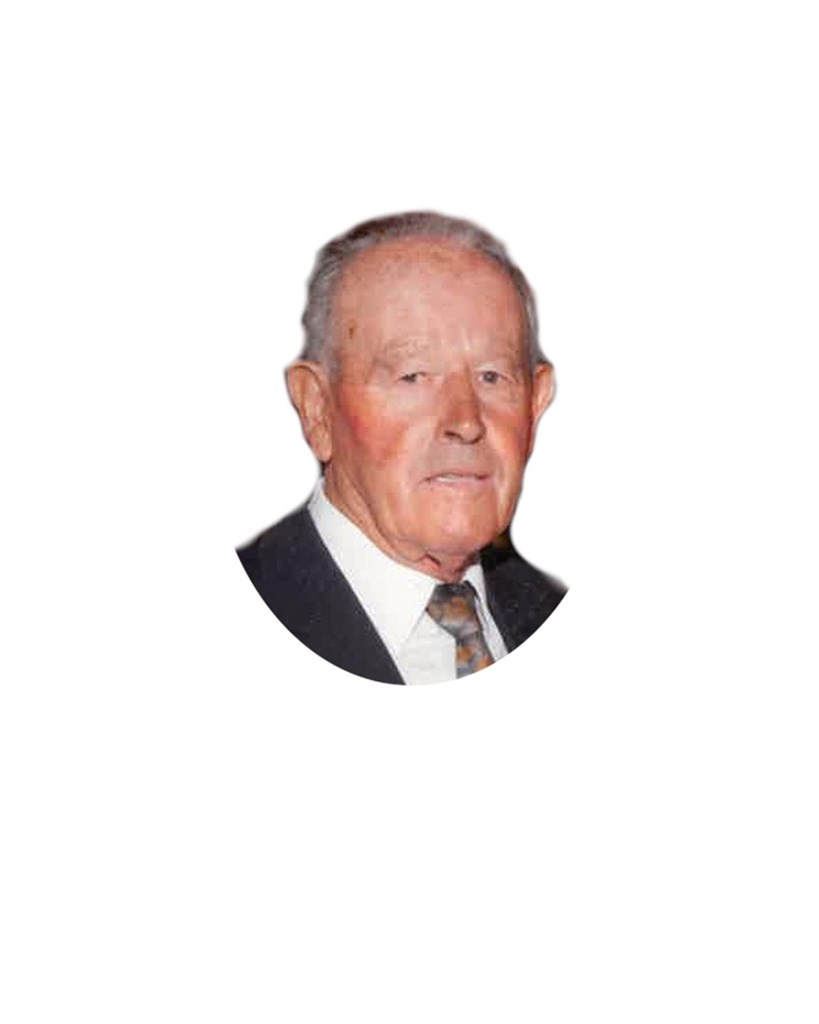 Foto secundaria VICENTE VIDAL GONZÁLEZ